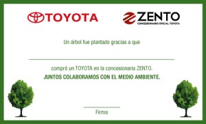 Certificado-01
